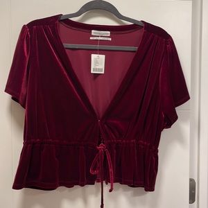 Urban Outfitters velvet top